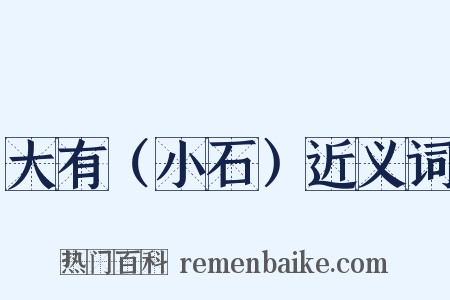 大有（小石）近义词是什么意思的图片